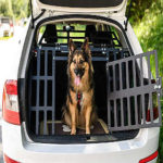 Hundetransport Hundetransportbox kaufen test