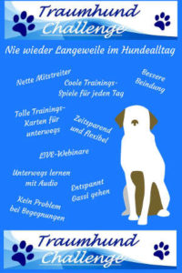 Traumhund Challenge