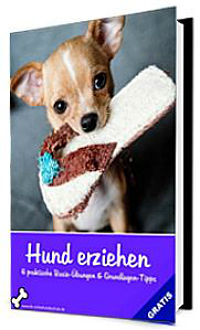 Hund erziehen eBook Ratgeber Cover